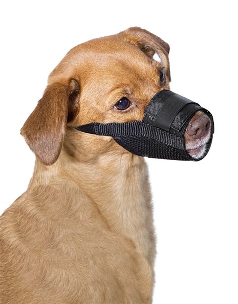 1. . Dog muzzle walmart